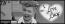 <b>I Love Lucy</b><br>6x27 - The Ricardos Dedicate a Statue<br>25243 nappal ezelőtt<br>2 követő